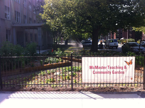 McMaster Teaching and Community Garden located by the General Sciences Building